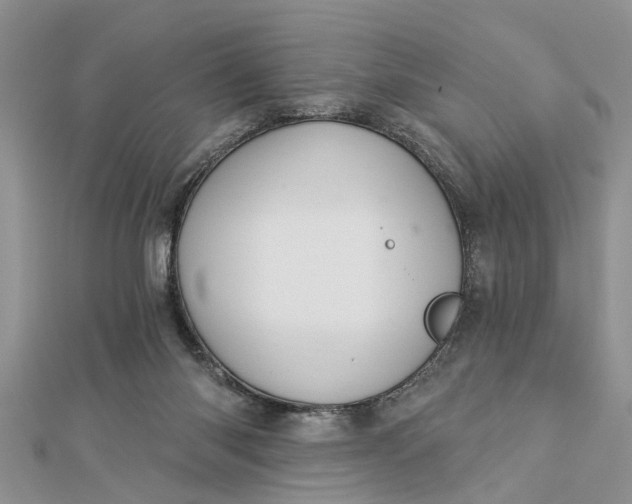 X0000112460118200908311337