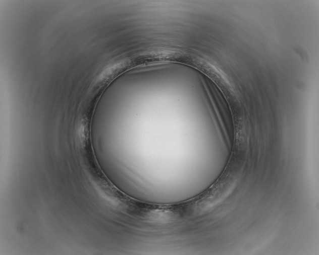 X0000112460119200908311337