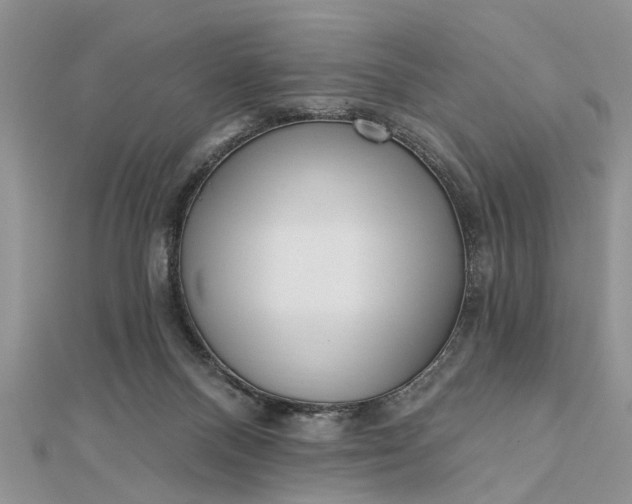 X0000112460120200908311337