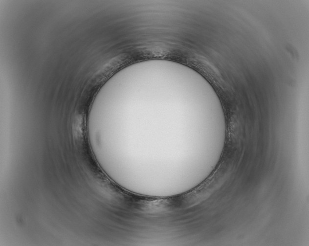 X0000112460122200908311337