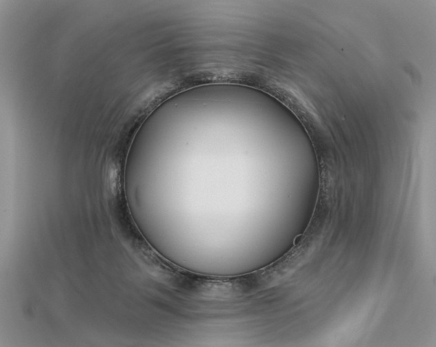 X0000112460123200908311337