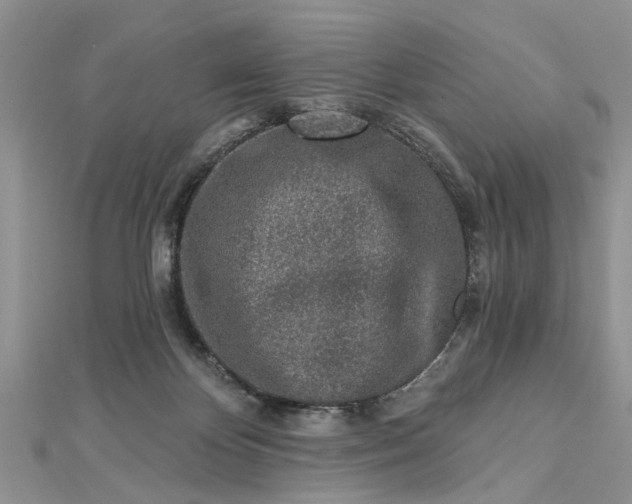 X0000112460124200908311337