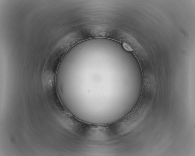 X0000112460125200908311337