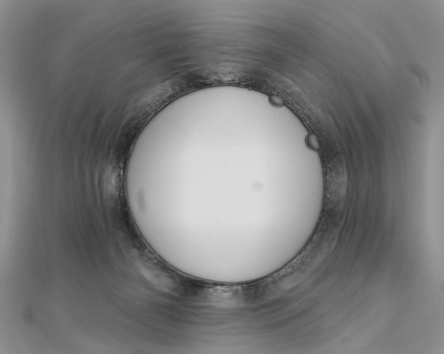 X0000112460126200908311337