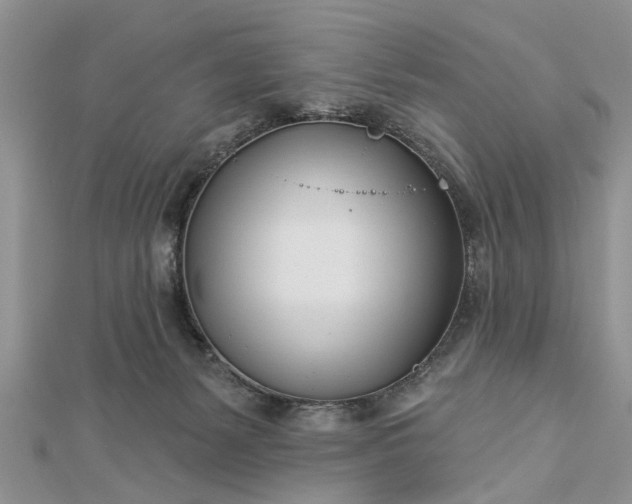 X0000112460127200908311337