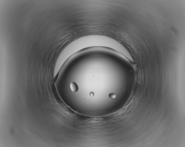 X0000112460128200908311337