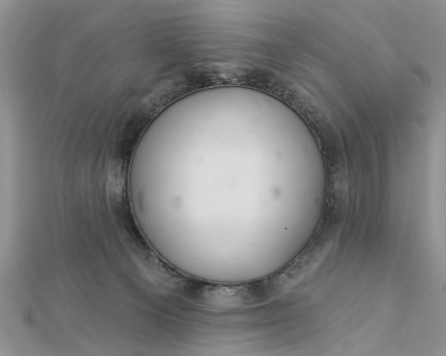 X0000112460129200908311337