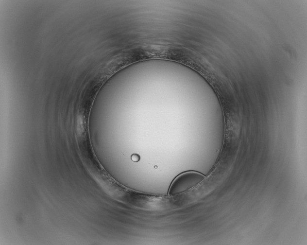 X0000112460130200908311337