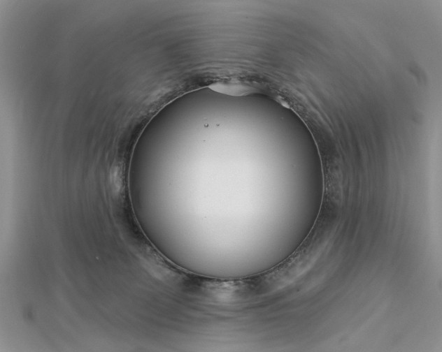 X0000112460131200908311337