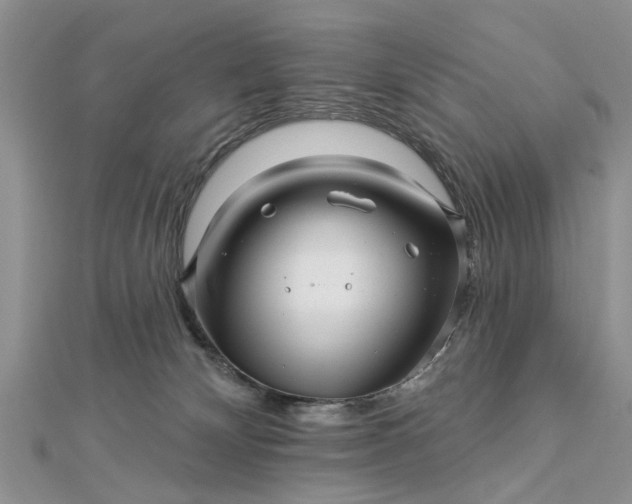 X0000112460132200908311337