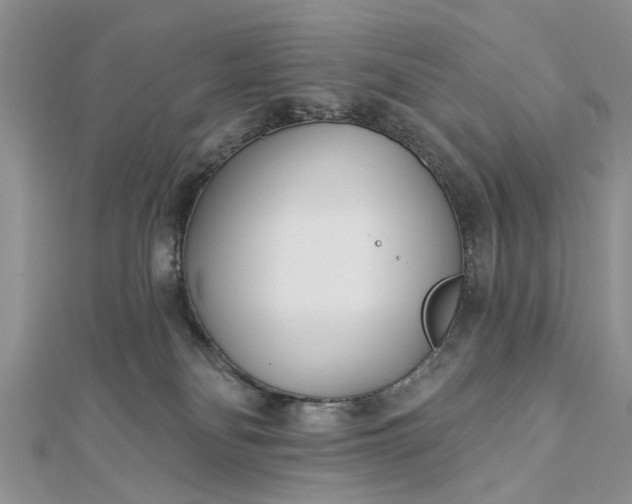 X0000112460134200908311337