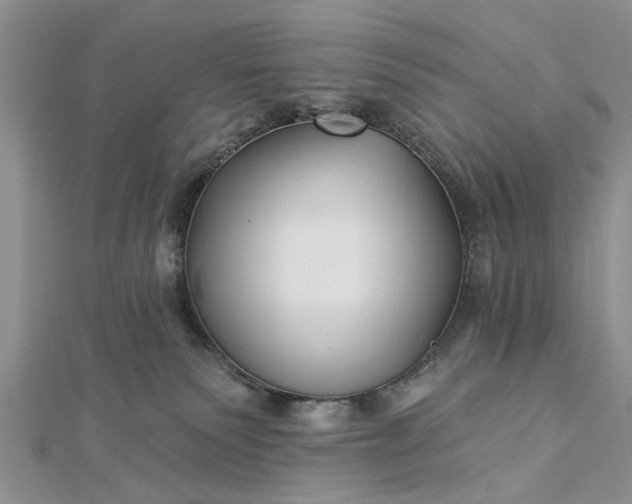 X0000112460135200908311337