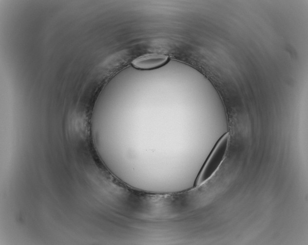 X0000112460136200908311337