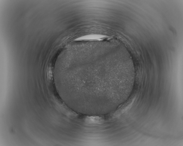 X0000112460137200908311337