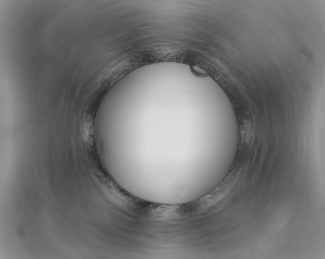 X0000112460138200908311337