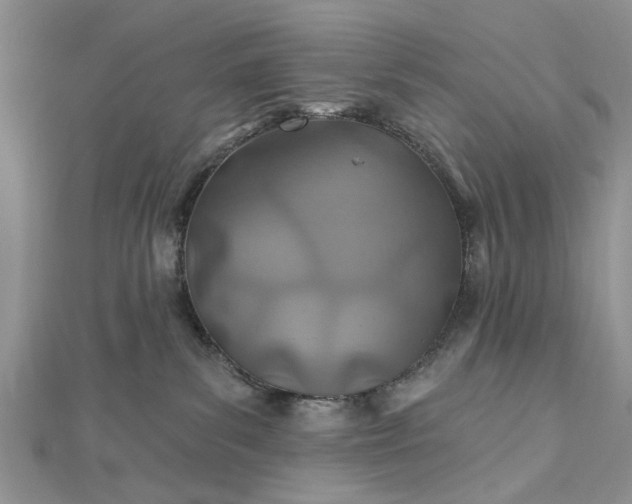 X0000112460139200908311337