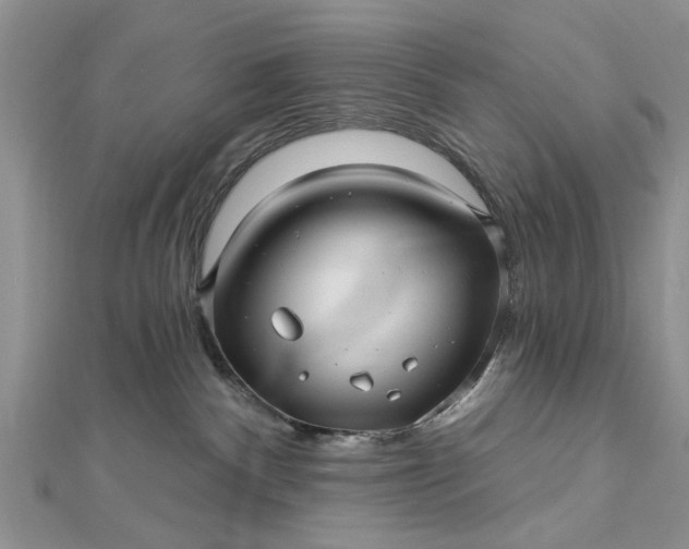 X0000112460140200908311337