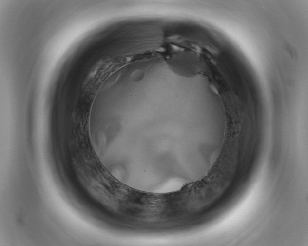 X0000112460143200908311337