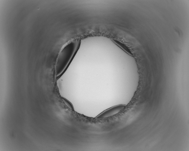 X0000112460144200908311337