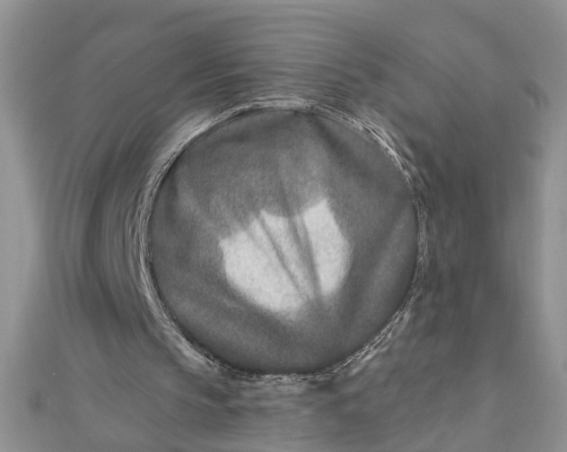 X0000112460145200908311336