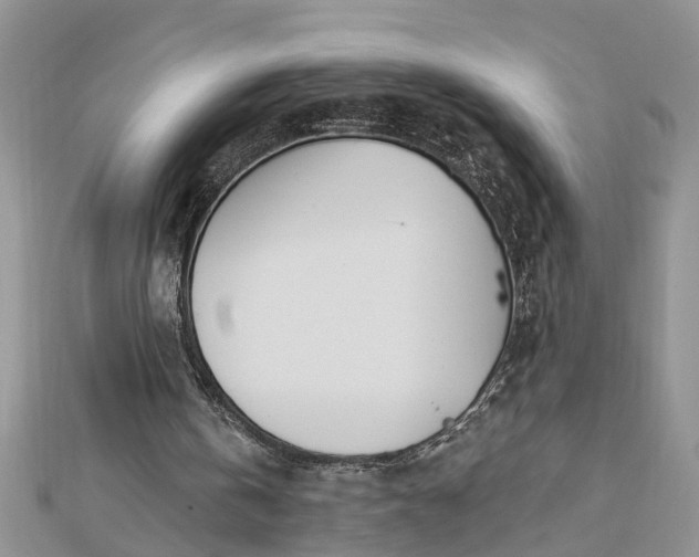 X0000112460146200908311336