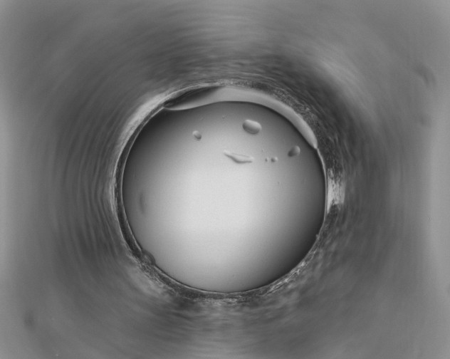 X0000112460147200908311336