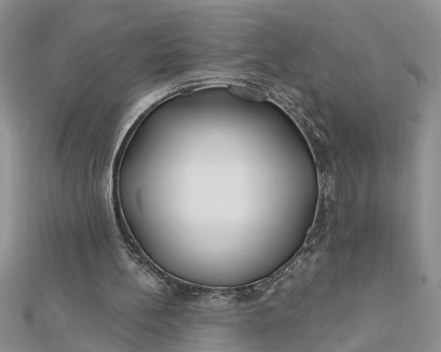 X0000112460148200908311336