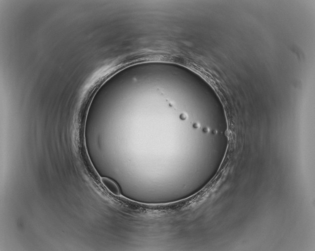 X0000112460149200908311336