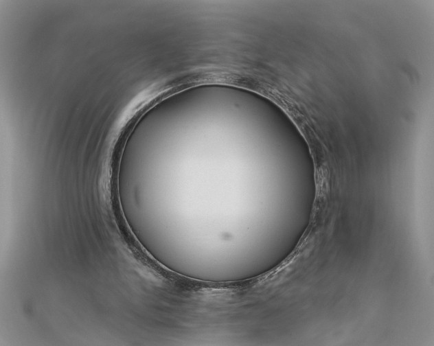 X0000112460150200908311336