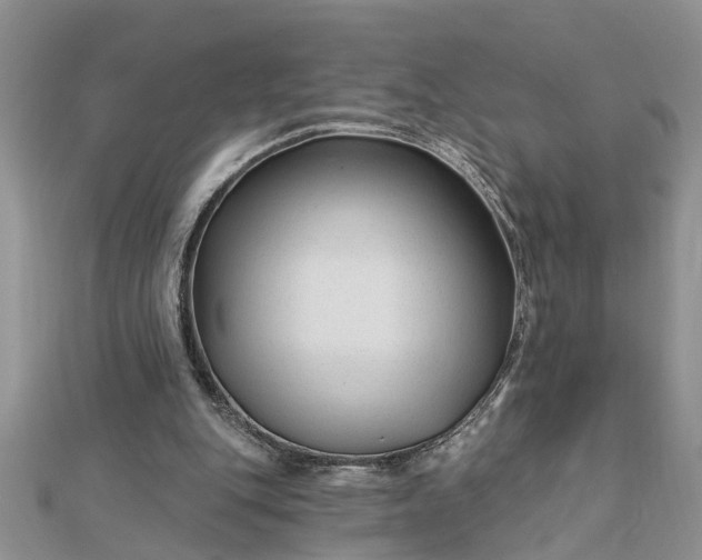 X0000112460151200908311336