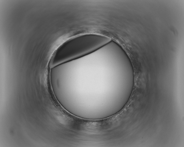 X0000112460152200908311336