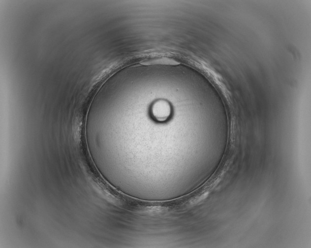 X0000112460153200908311336