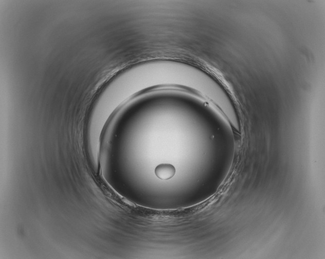 X0000112460154200908311336