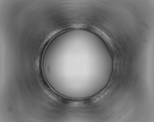 X0000112460155200908311336