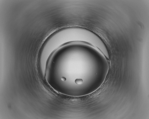 X0000112460156200908311336