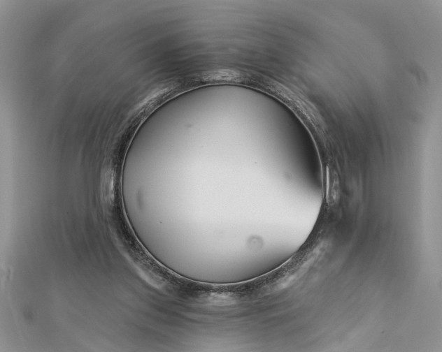 X0000112460157200908311336