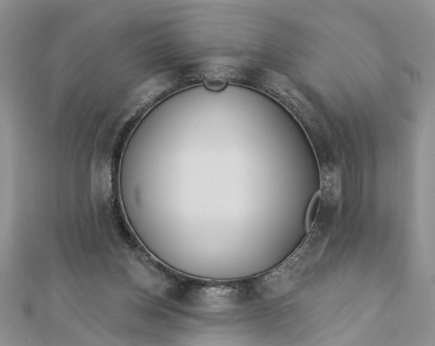 X0000112460158200908311336