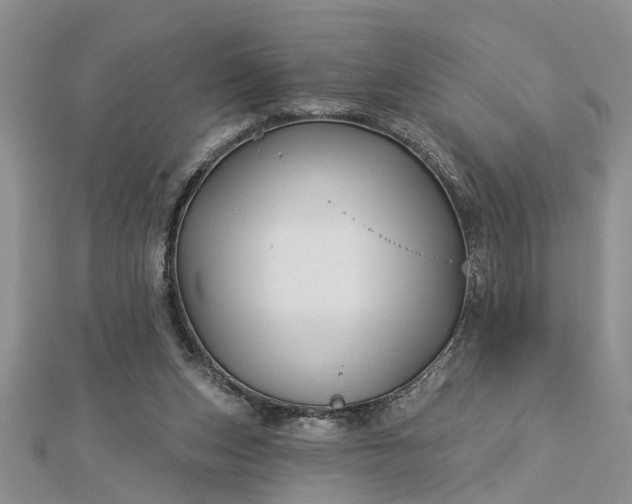 X0000112460159200908311336