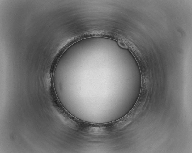 X0000112460160200908311336