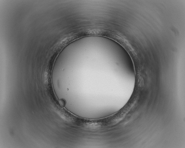 X0000112460161200908311336