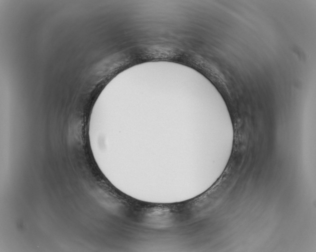 X0000112460162200908311336