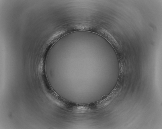 X0000112460163200908311336