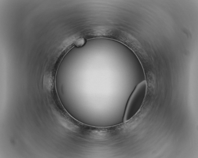 X0000112460164200908311336