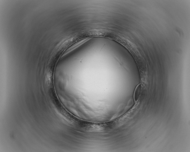 X0000112460166200908311336