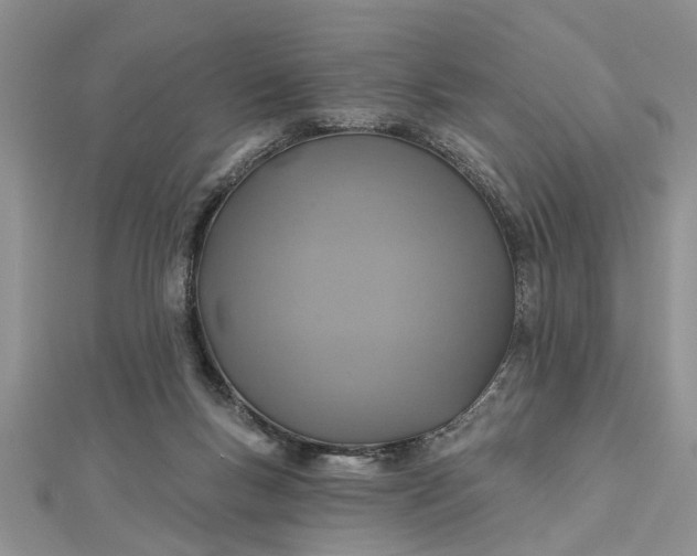 X0000112460167200908311336