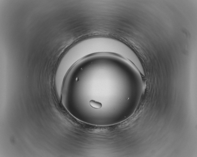 X0000112460168200908311336