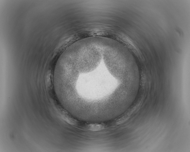 X0000112460169200908311336