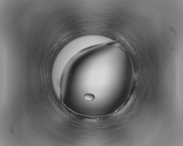 X0000112460170200908311336