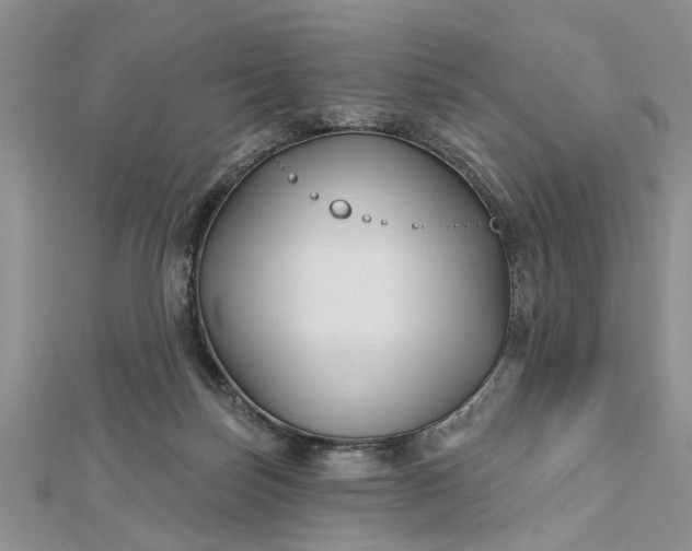 X0000112460171200908311336