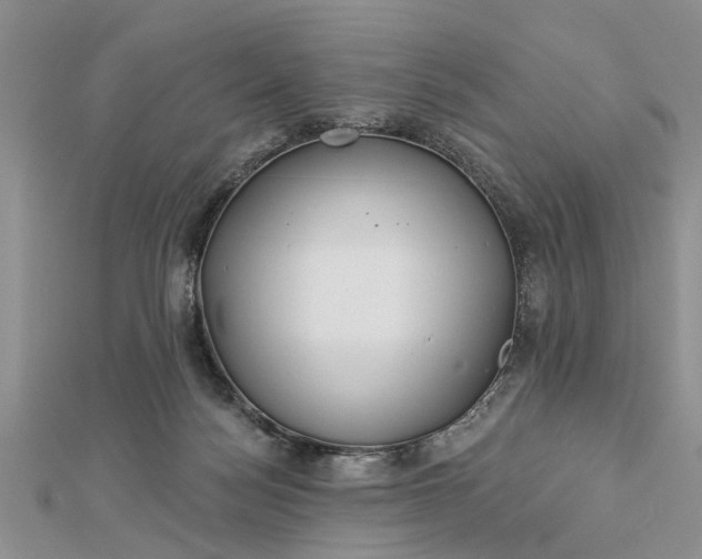 X0000112460172200908311336